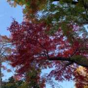 ヒメ日記 2026/10/11 05:33 投稿 桜葉 川越勃たせる妻たち