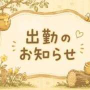 あずさ 🍯お知らせ🍯 ぽっちゃり巨乳素人専門店ぷにめろ渋谷店
