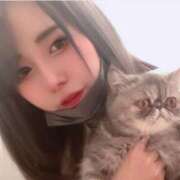 ヒメ日記 2026/09/01 20:40 投稿 あやめ プレイガール(亀有)