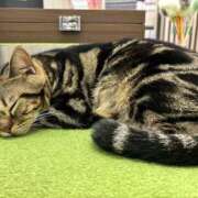 ヒメ日記 2026/07/31 21:32 投稿 ゆな MiliM