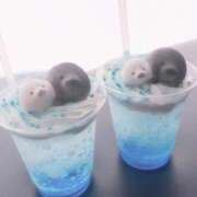ななみ 雨😢 デザインプリズム新宿