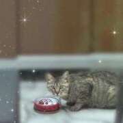 ヒメ日記 2026/08/13 12:03 投稿 ウユ ファーストレディー