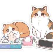 ヒメ日記 2026/10/07 13:07 投稿 ウユ ファーストレディー