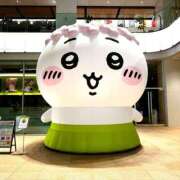 ヒメ日記 2026/10/09 22:55 投稿 まや I❤HIMEJI（アイラブ姫路）