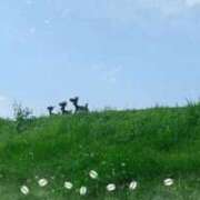ヒメ日記 2026/08/29 10:29 投稿 はるか 完熟ばなな八王子