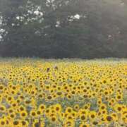 ヒメ日記 2026/08/10 20:42 投稿 ましろ Hip's-group越谷本店