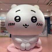 ましろ こんばんは Hip's-group越谷本店