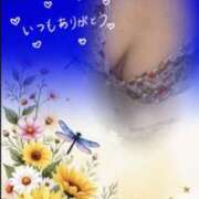 ヒメ日記 2026/08/13 15:03 投稿 本宮かりな こあくまな熟女たち 周南・徳山店（KOAKUMAグループ）