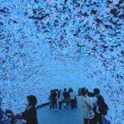 ヒメ日記 2026/08/11 00:22 投稿 せな 出会い系人妻ネットワーク さいたま～大宮編