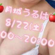 ヒメ日記 2026/08/21 19:38 投稿 月城 BBW横浜店