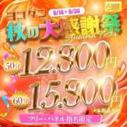 ヒメ日記 2026/09/16 10:41 投稿 篠宮 ゆう 横浜ダンディー