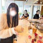 杏樹-Anju- 一緒にのんびり 姉新地