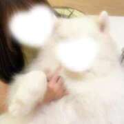 ヒメ日記 2026/09/20 00:16 投稿 如月つき【PREMIUM】 とびきりかわいい専門～You:More～