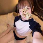 ヒメ日記 2026/09/19 03:13 投稿 よつば それいけ！ヤリスギ学園～舐めたくてグループ横浜校～