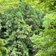 ヒメ日記 2026/08/27 09:37 投稿 水沢 ローズマリー大塚