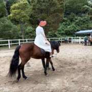 ヒメ日記 2026/09/13 06:56 投稿 夏目 熟女の風俗最終章　鶯谷店