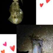 ヒメ日記 2026/09/14 13:39 投稿 蘭々(らら) 高知デリヘル倶楽部 人妻熟女専門店