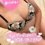 ヒメ日記 2026/08/19 17:32 投稿 みどり 鶯谷デリヘル倶楽部