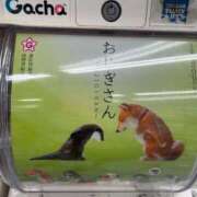 ヒメ日記 2026/09/12 04:22 投稿 みどり 鶯谷デリヘル倶楽部