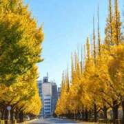 ヒメ日記 2026/10/05 19:22 投稿 みどり 鶯谷デリヘル倶楽部
