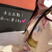 ヒメ日記 2026/08/12 12:05 投稿 さき姫 螢