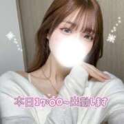ヒメ日記 2026/08/03 15:31 投稿 なち Gossip girl