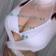 ヒメ日記 2026/09/04 15:46 投稿 まいか EXECUTIVE【都城本店】