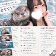 くるみ-KINDAN- 🦦 KINDAN-禁断-