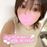 ヒメ日記 2026/10/12 18:06 投稿 美保(みほ) 高崎回春性感SPA