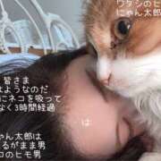 ヒメ日記 2026/09/18 12:35 投稿 水野　はづき 川崎南町人妻高級ソープ エル・カーヒル(ELCURHIL)秘密の刻