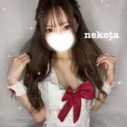ヒメ日記 2026/08/08 20:09 投稿 ねこちゃん/Nekochan VERY（ヴェリィ)