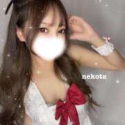 ねこちゃん/Nekochan 🍌診断 VERY（ヴェリィ)