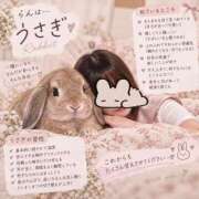 ヒメ日記 2026/09/17 17:30 投稿 らん luxury spa 風雅