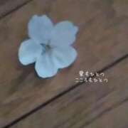 ヒメ日記 2026/08/17 06:14 投稿 美和(みわ) PLUS難波店