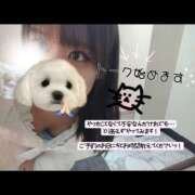 ヒメ日記 2026/09/20 22:57 投稿 みゆり ハピネス東京