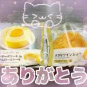 ヒメ日記 2026/08/20 14:36 投稿 みのり ぽっちゃり巨乳素人専門横浜関内伊勢佐木町ちゃんこ