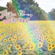 ヒメ日記 2026/08/07 07:32 投稿 りん 出会い系人妻ネットワーク さいたま～大宮編