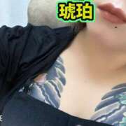 ヒメ日記 2026/09/01 19:28 投稿 琥珀 Tiara Belle