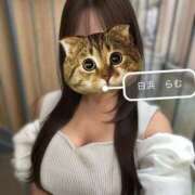 白浜らむ ❤︎お盆❤︎ 多恋人倶楽部