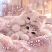 ヒメ日記 2026/08/12 11:57 投稿 月野　うさぎ タッチVIP