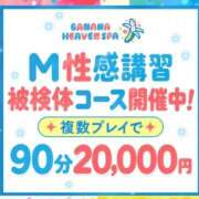 ヒメ日記 2026/09/11 15:29 投稿 松嶋あおい banana heaven spa(バナナヘブンスパ)