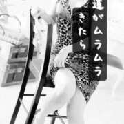 ヒメ日記 2026/10/14 12:29 投稿 松嶋あおい banana heaven spa(バナナヘブンスパ)