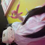 のあ たいきーん みつばちマーヤZ