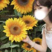 雛乃/ひなの お盆の予定は〜？🌻 ANEJE～アネージュ池袋～(ユメオト)