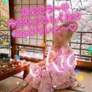 ヒメ日記 2026/09/02 10:22 投稿 りりあ 美熟女倶楽部Hip's 春日部店