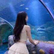 ヒメ日記 2026/09/28 23:46 投稿 るみ ヒルズスパ　梅田＋