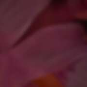 ヒメ日記 2026/08/08 14:41 投稿 まい みつばちマーヤZ