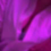 ヒメ日記 2026/08/13 14:54 投稿 まい みつばちマーヤZ