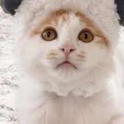 ヒメ日記 2025/01/25 14:14 投稿 みずき タレントCLUB