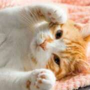 ヒメ日記 2025/02/17 00:43 投稿 みずき タレントCLUB